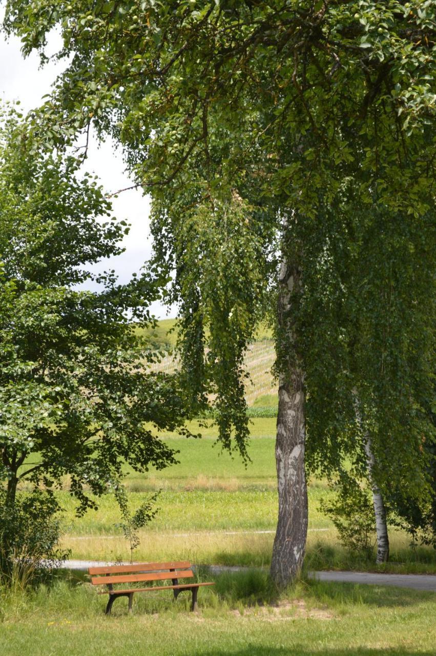 Fruehstueckspension Krump Bad Waltersdorf Zewnętrze zdjęcie